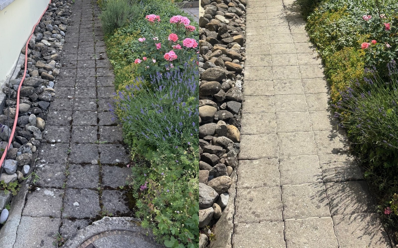 Gartenweg neu erstrahlt